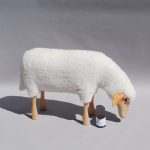 SHEEP GRAZING